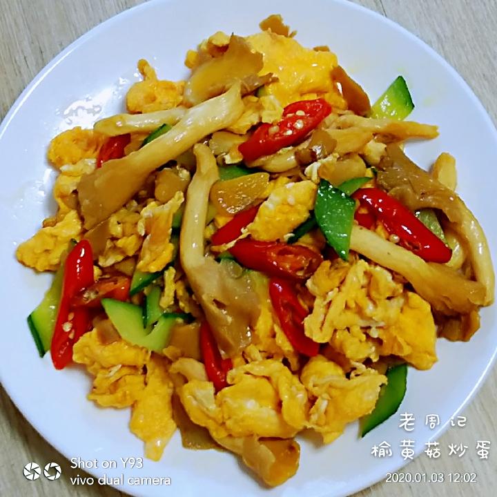 榆黄菇炒蛋