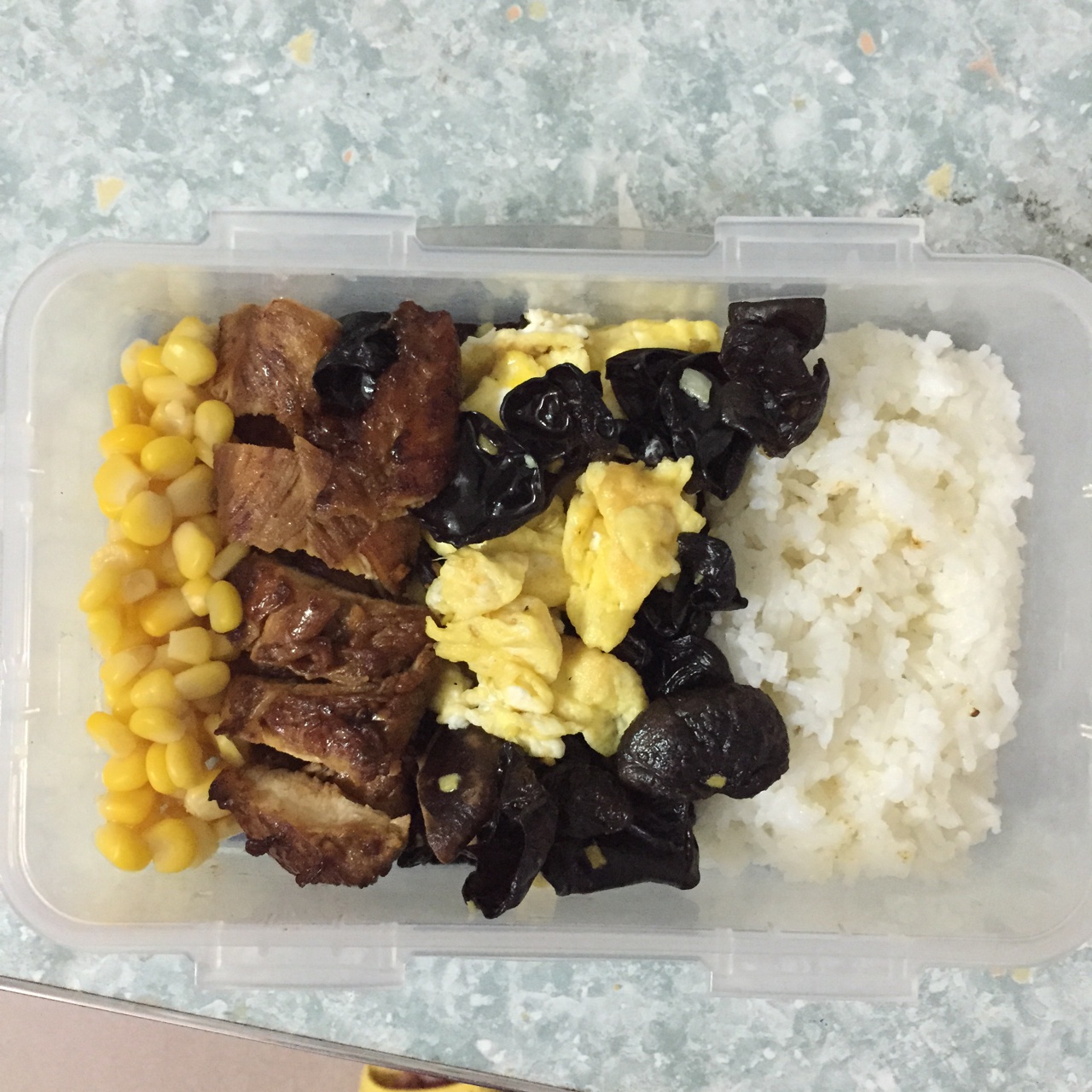 阮阮阮阮阮阮阮阮阮阮阮做的上班族的午餐便当