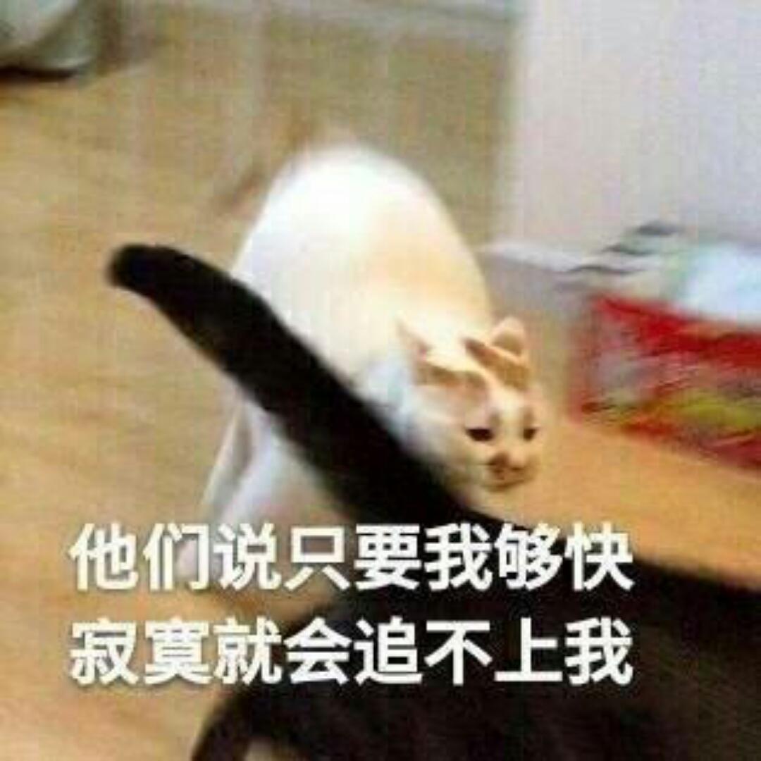 就吃香菜