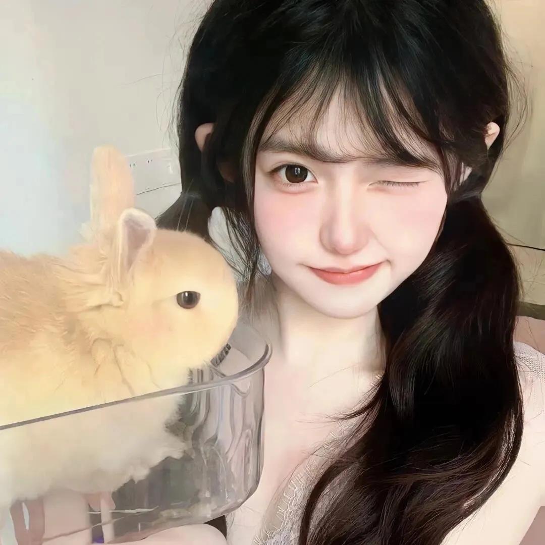 猪猪的精致生活