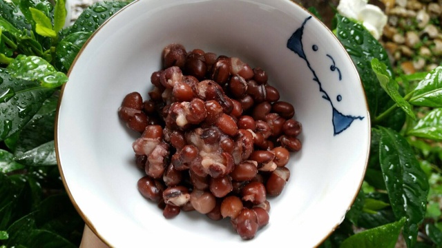 蜜红豆