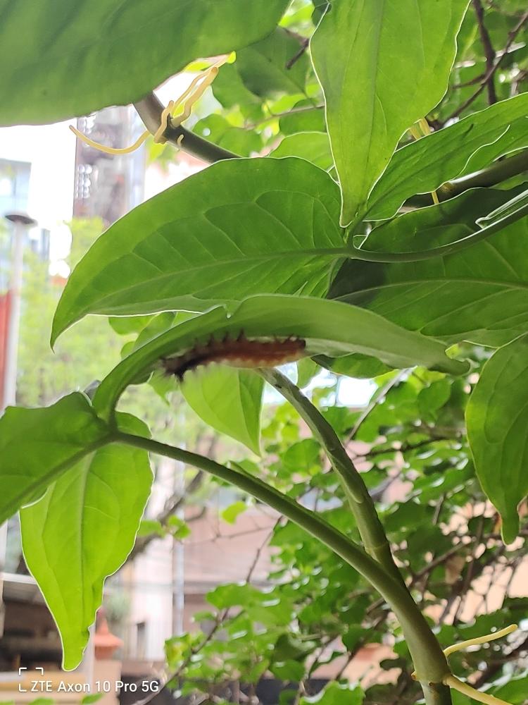 家常半份菜大杂烩
