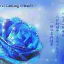 手机用户6426_72ht