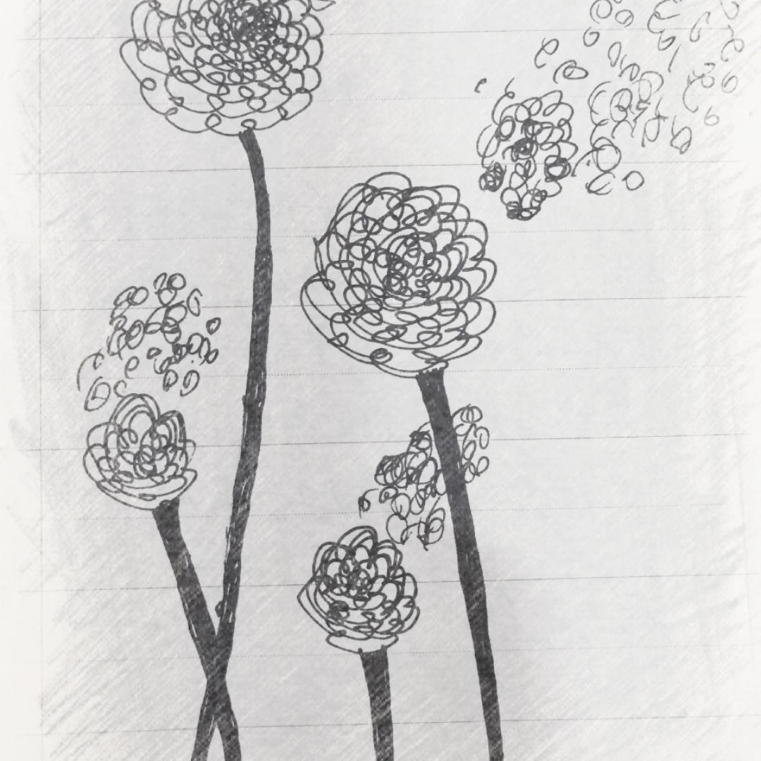 路边野菜花