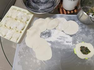 韭菜猪肉饺子（绞肉机）的做法 步骤7