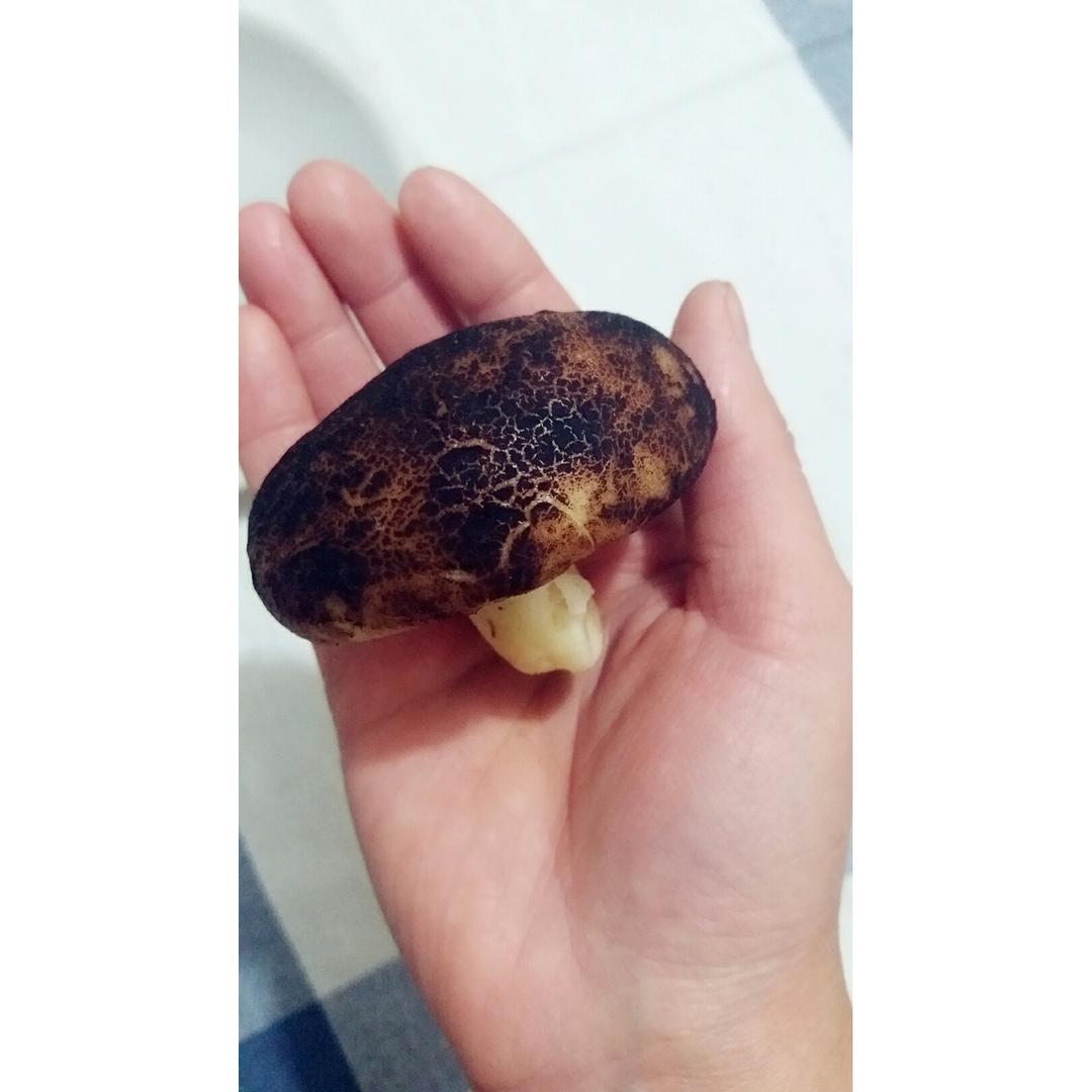 蘑菇包（奶黄馅）