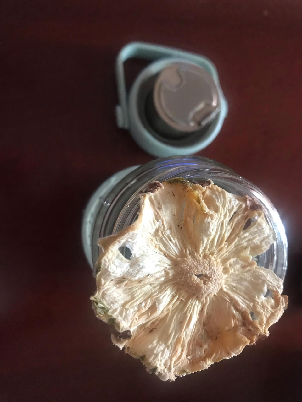 炸酸奶【6月北鼎烤箱食谱】