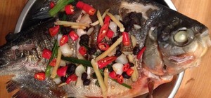 。的封面