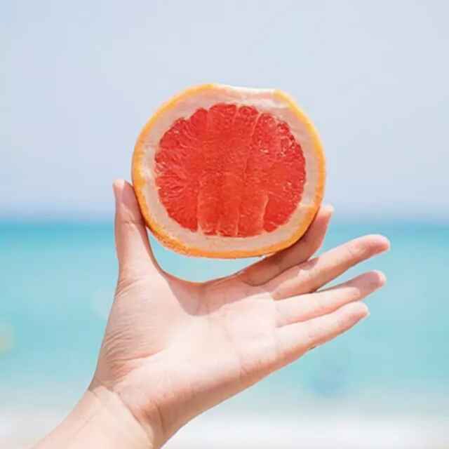 我是你的小依赖524