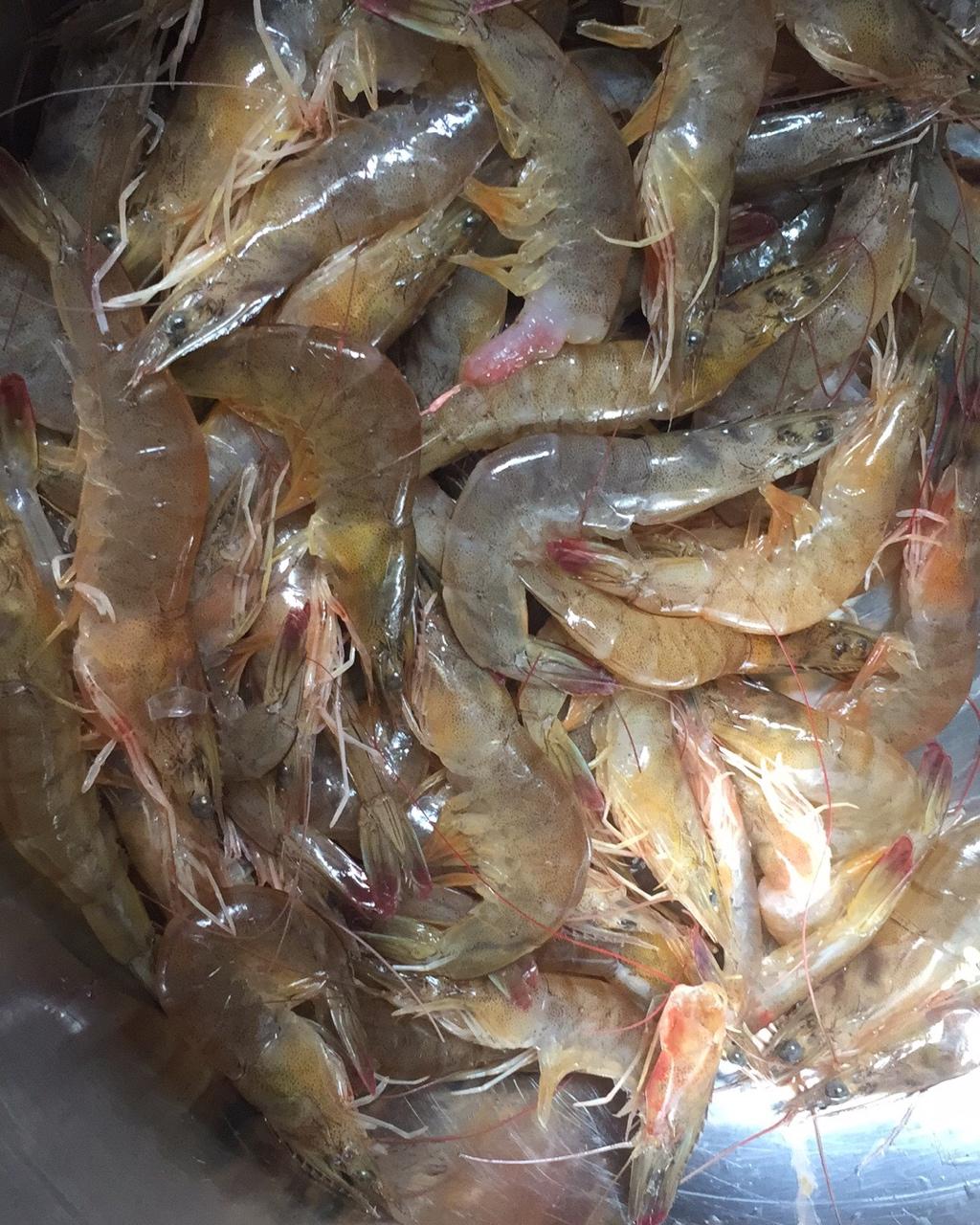 妈妈的传统虾丸