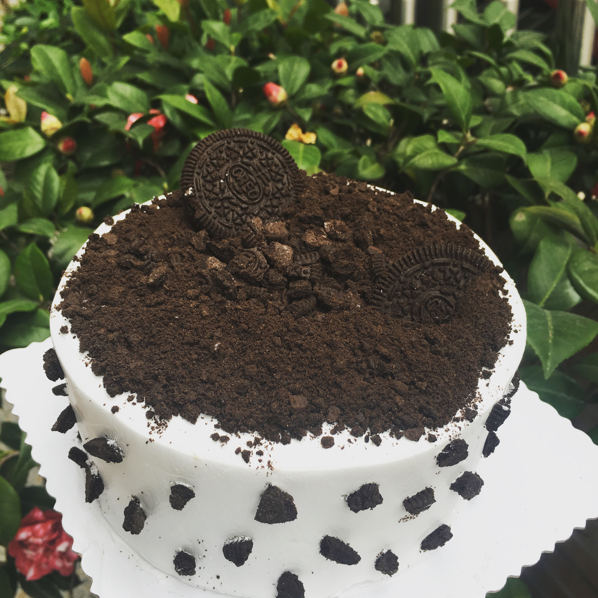 奥利奥水果奶油蛋糕