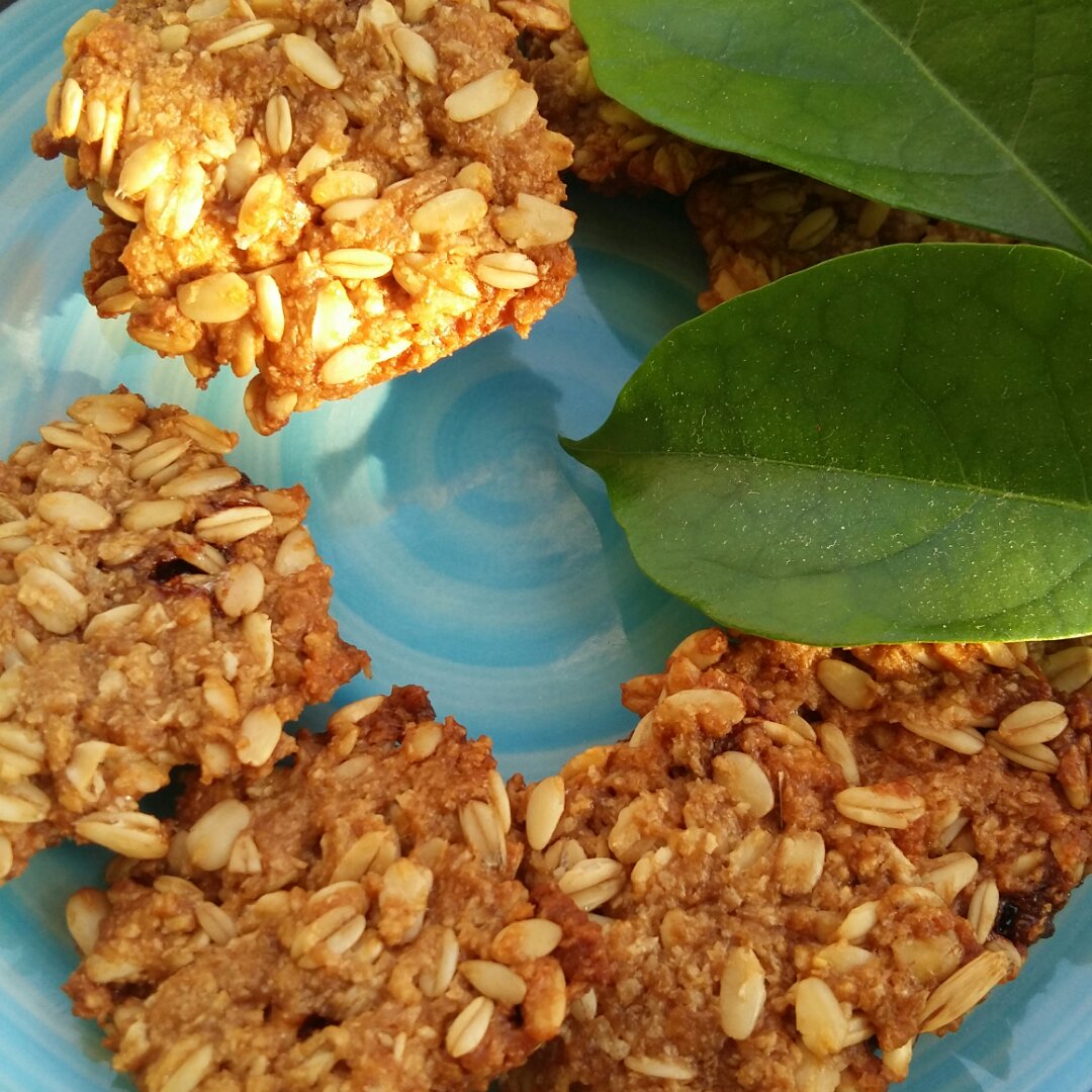 中岛老师的燕麦饼干
