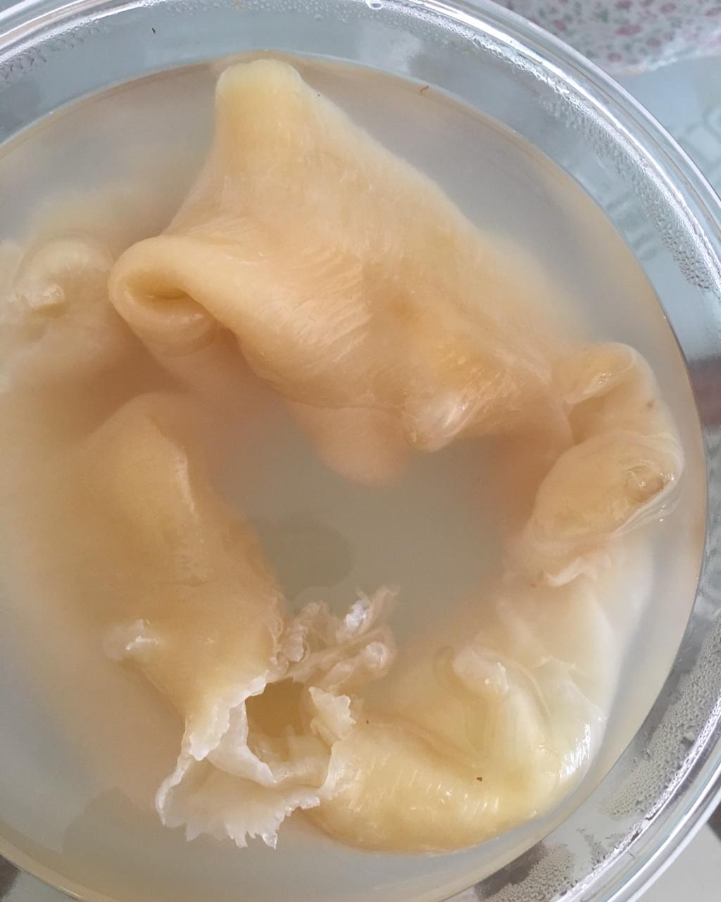 虾米-96做的花胶(鱼胶)泡发过程～～超简单
