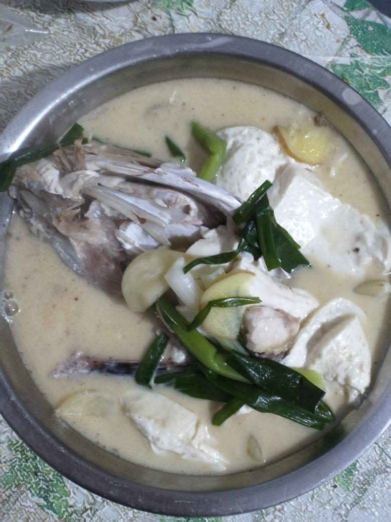 奶白色砂锅鱼头/鲫鱼豆腐汤的做法（零基础炖出奶白色汤）