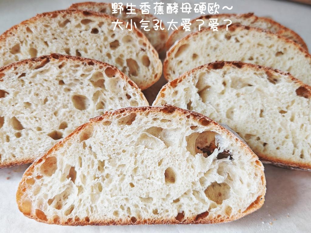 野生酵母--凤梨