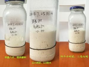 天然酵母（黑麦酵种）养成记录的做法 步骤23