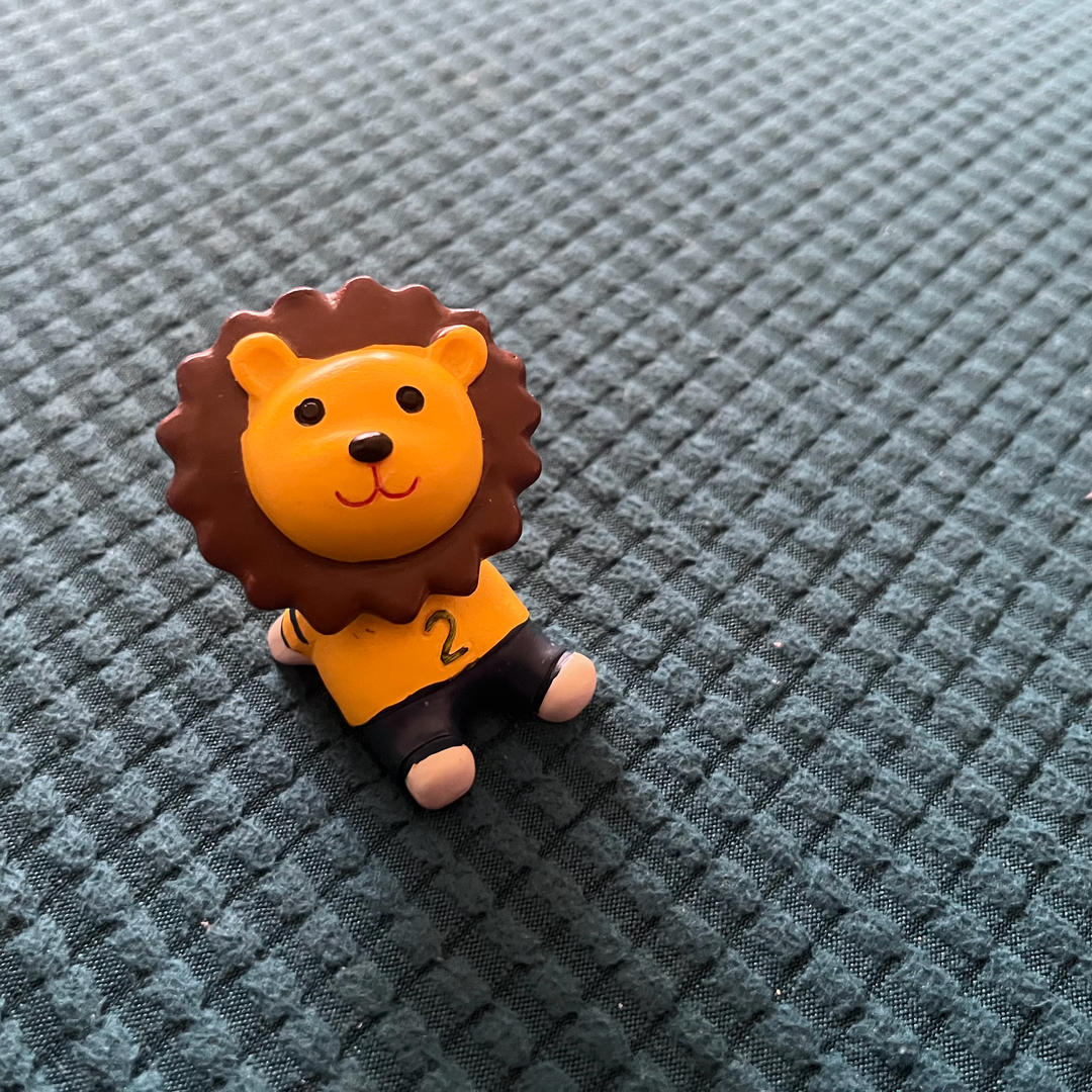 一只爱做饭的草履虫