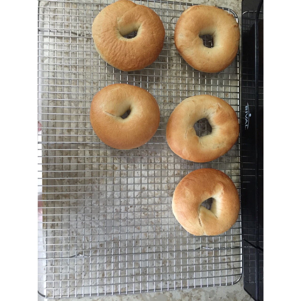 原味贝果