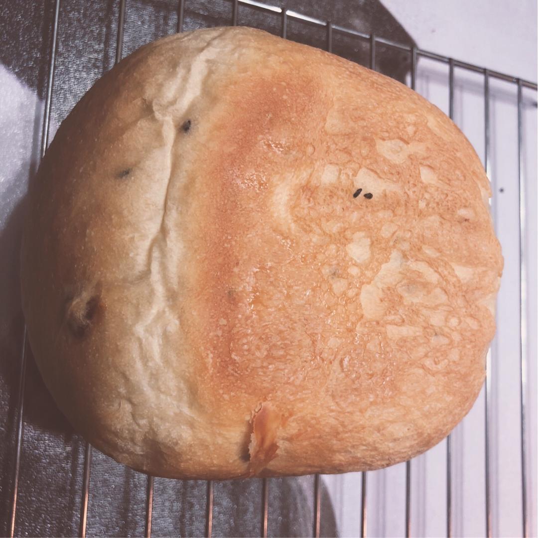 经典蜂蜜土司--松下面包机