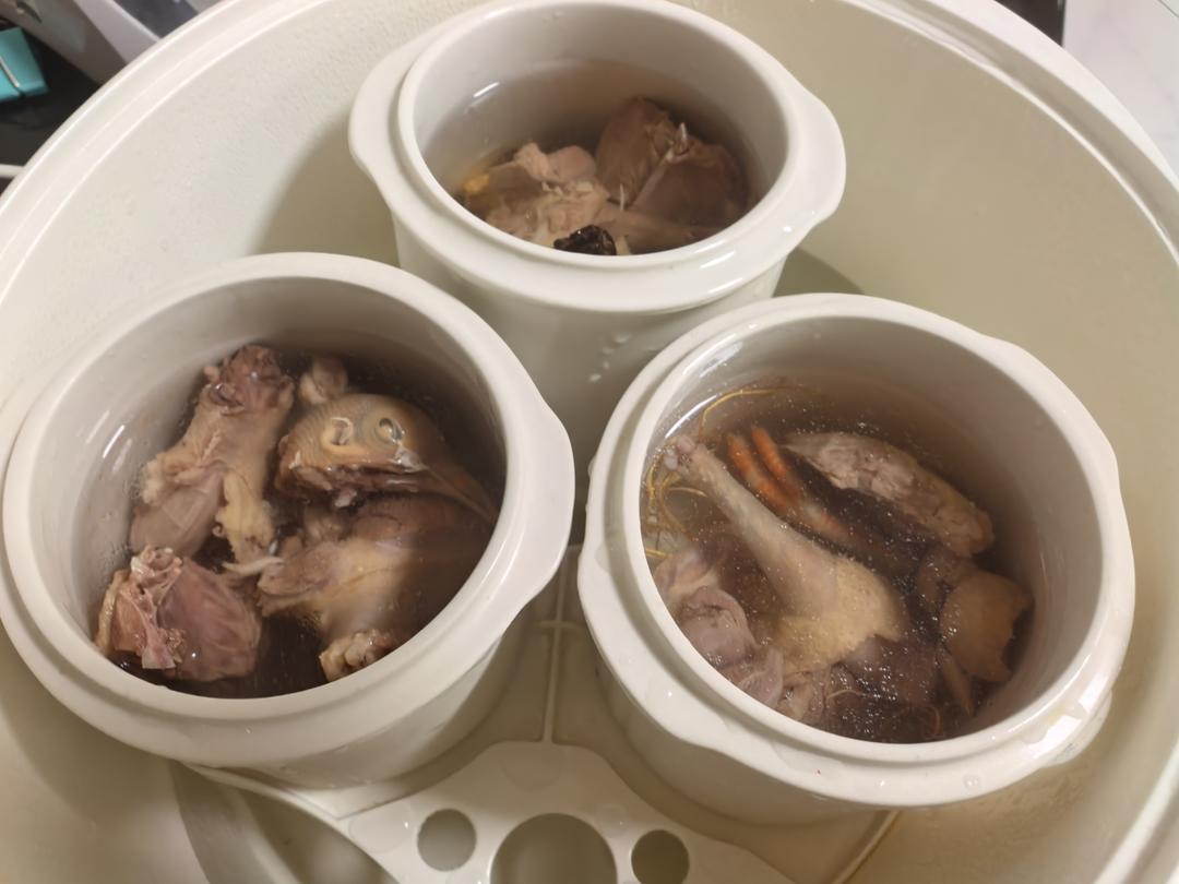 炖鸽子