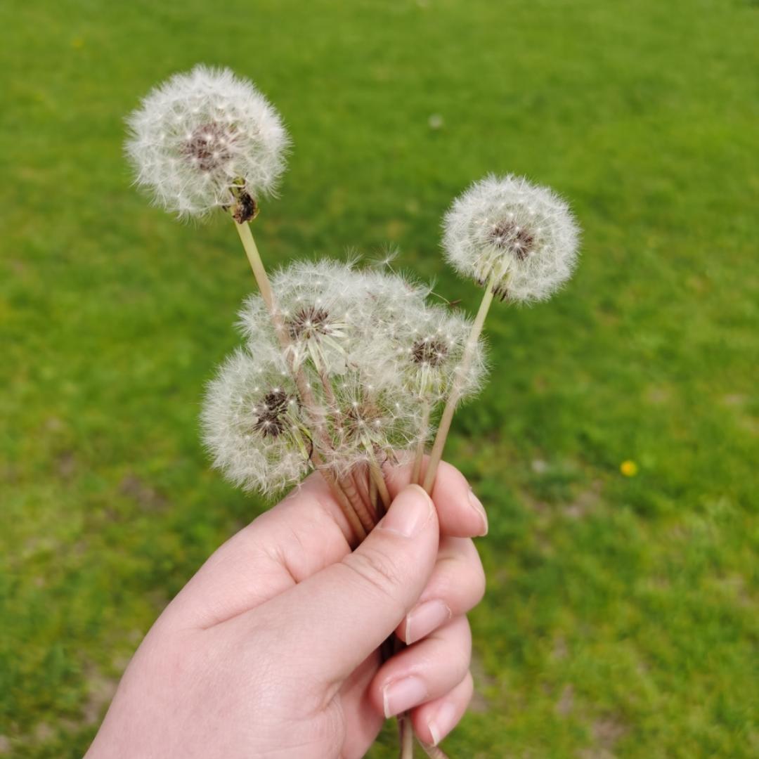 萍的幸福一家