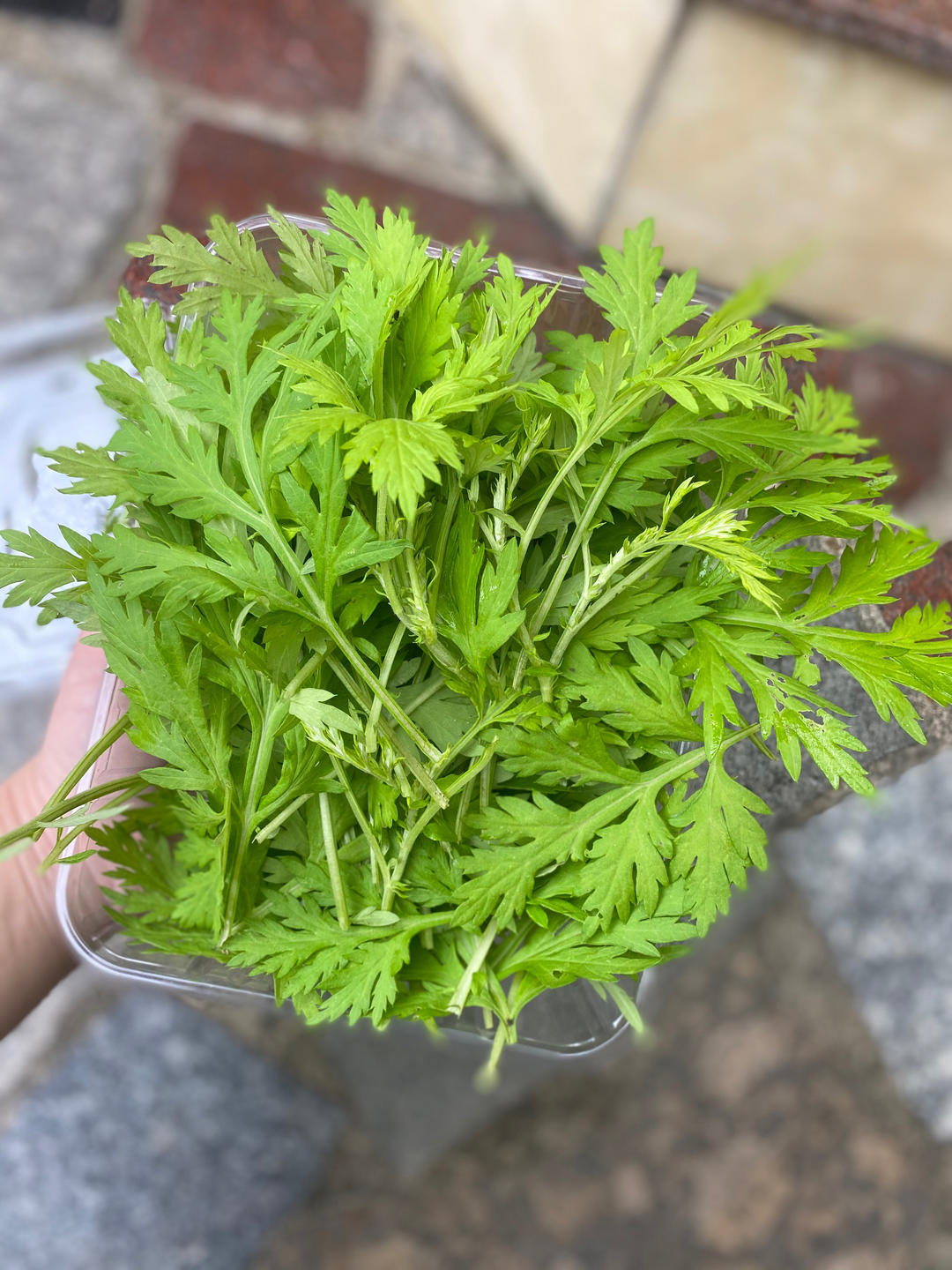 清明必吃的艾草青团