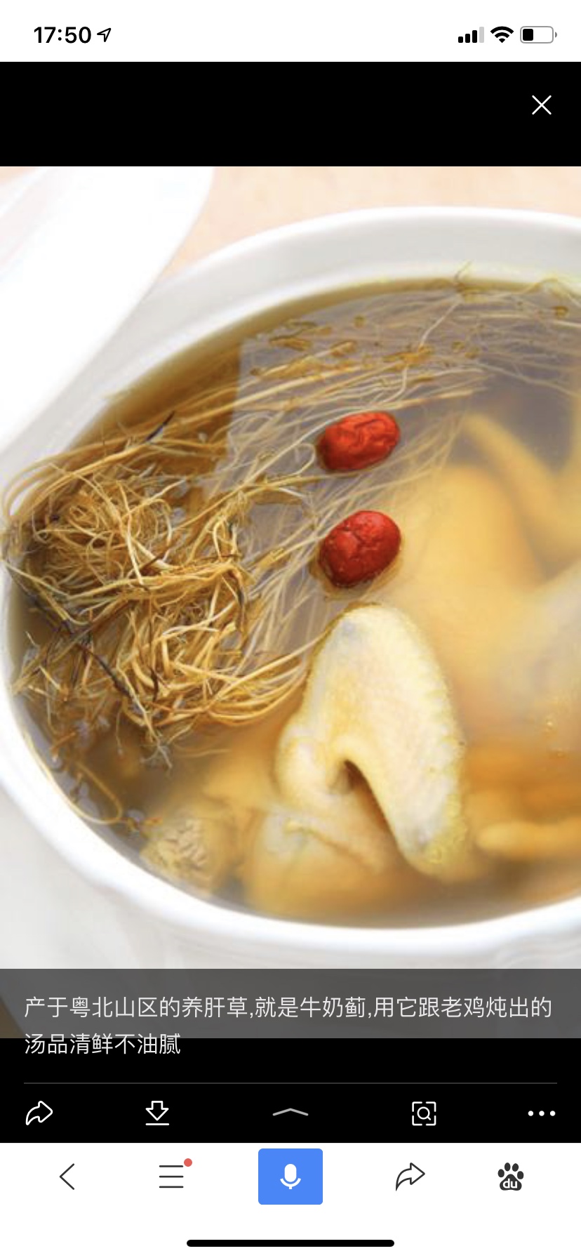 养肝草炖汤