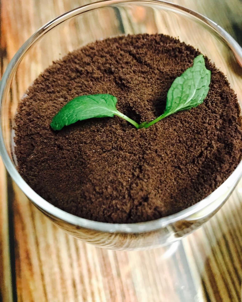 创意早餐╭盆栽吐司╮