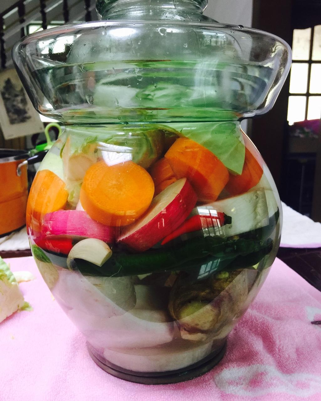 miahappy做的自制泡菜