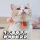 彩虹_qup0
