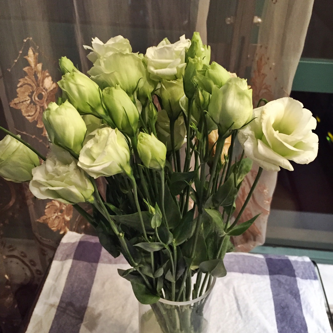 blue star少女杂货铺