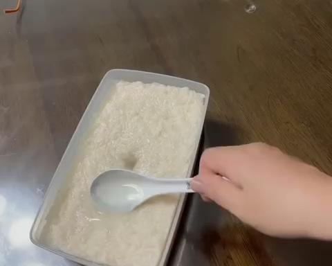 自制甜酒酿附加杨梅酒酿的做法，米酒纯香，好吃
