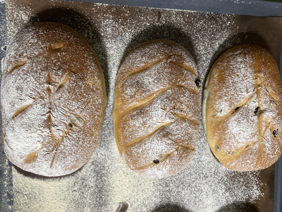 面包店里的常客——蔓越莓奶酪软欧