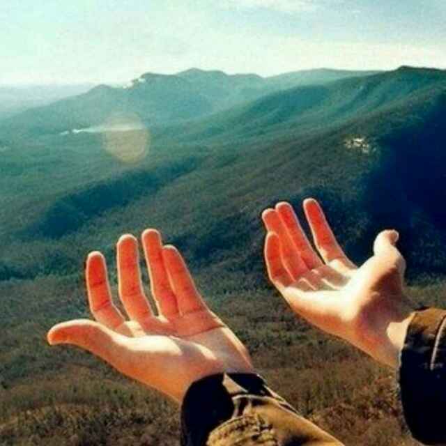 会扎针的小当家