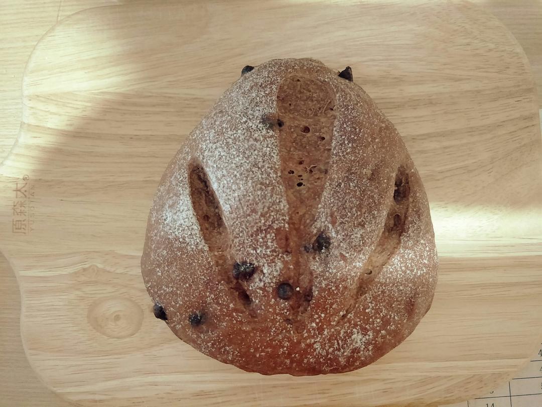 巧克力蔓越莓软欧