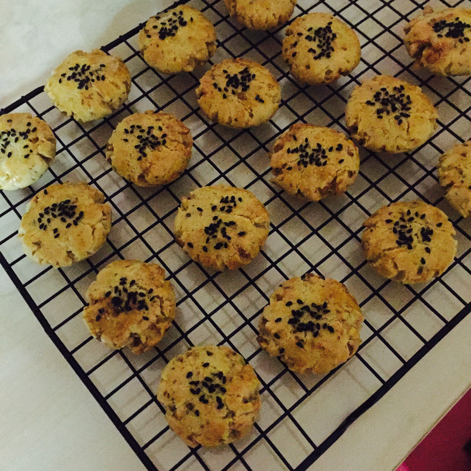 核桃酥 女侠森森