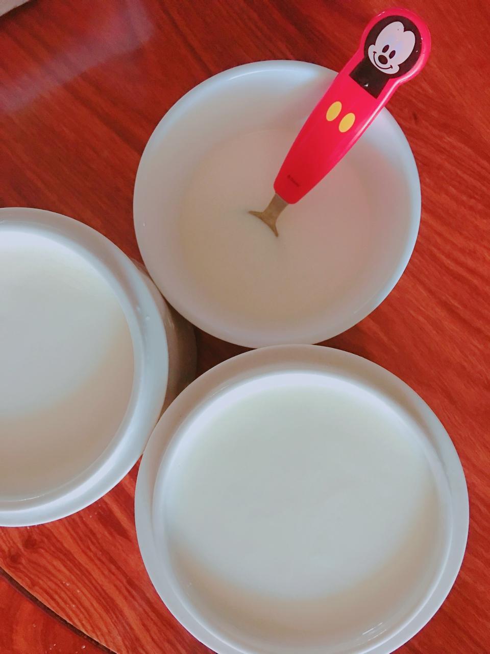 川秀酸奶机、菌粉自制酸奶
