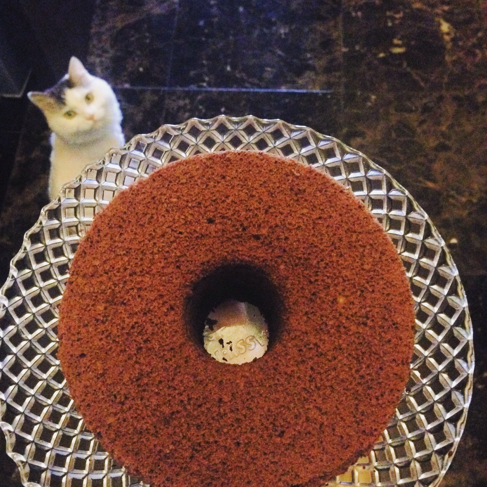 果子学校可可戚风