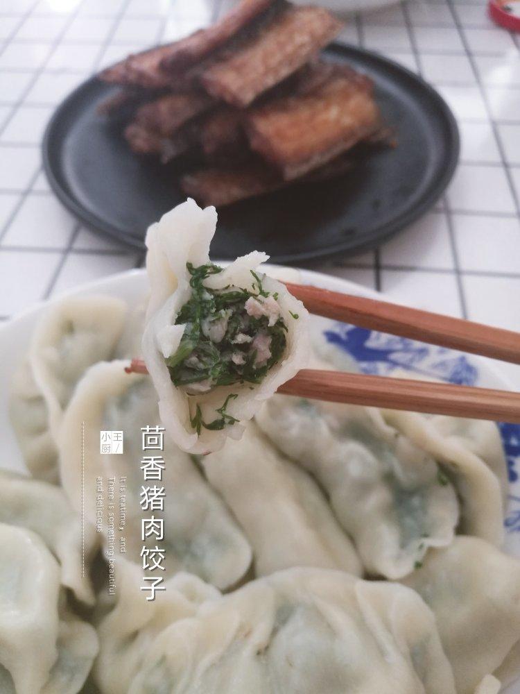 猪肉茴香饺子