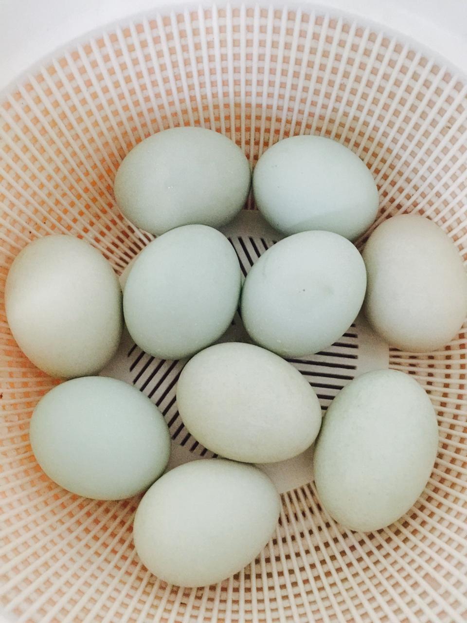 自制咸蛋： 100%出油起沙的咸蛋