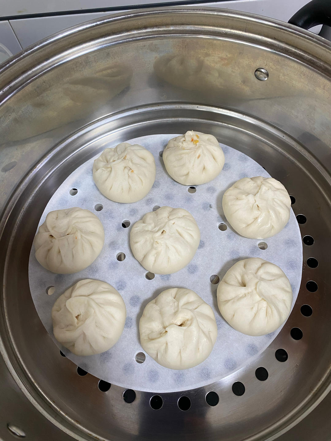 一次发酵肉包子