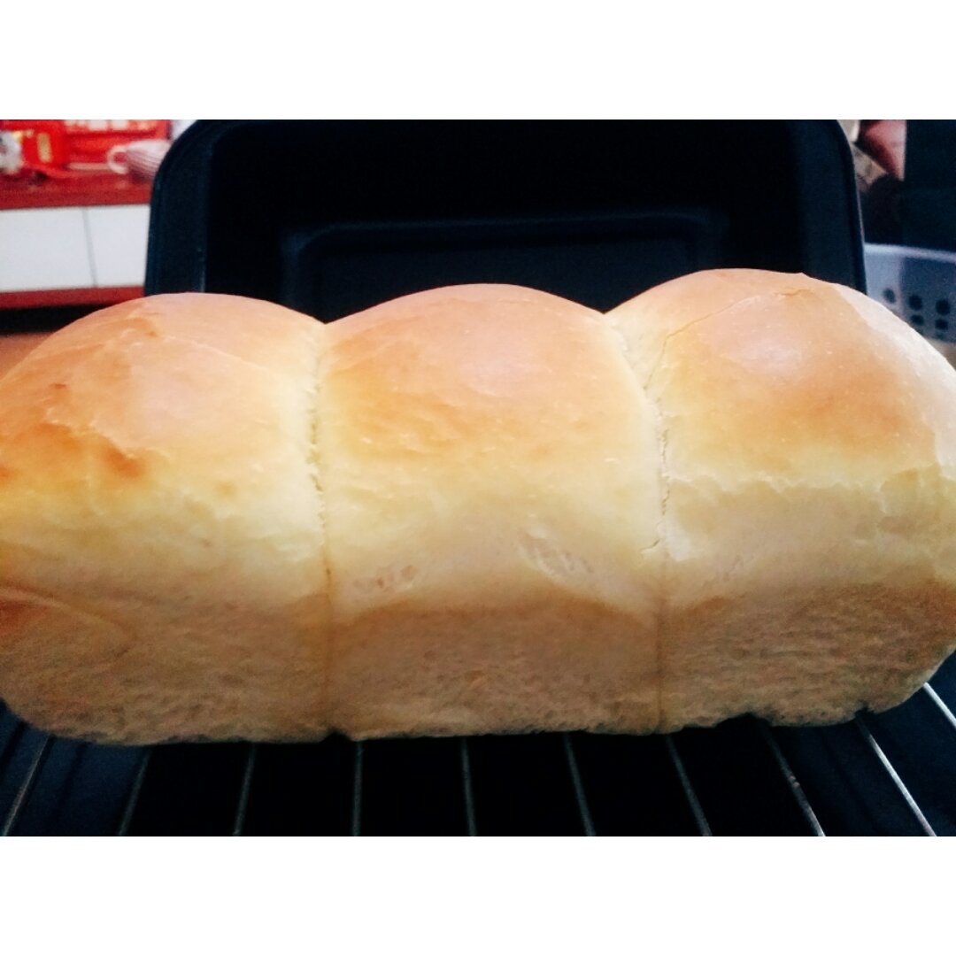 鲜奶油小餐包（一次发酵）