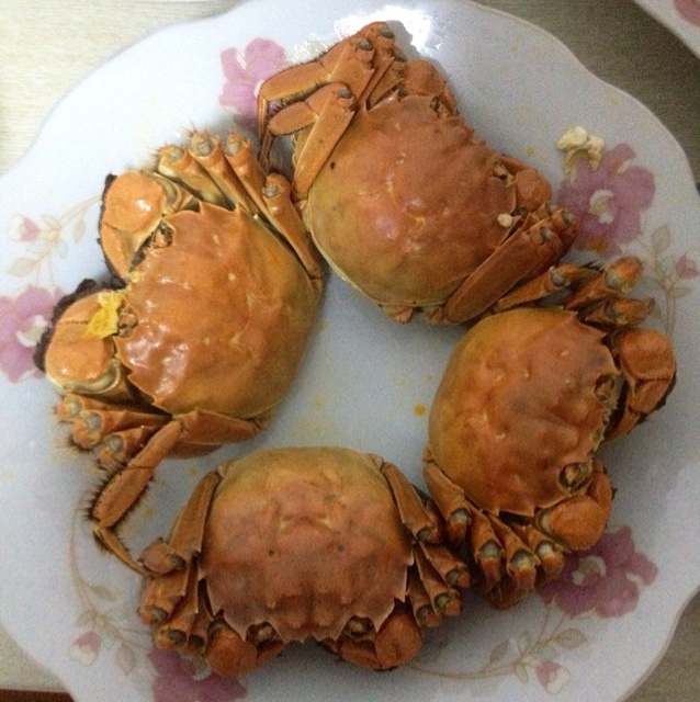 清蒸大闸蟹
