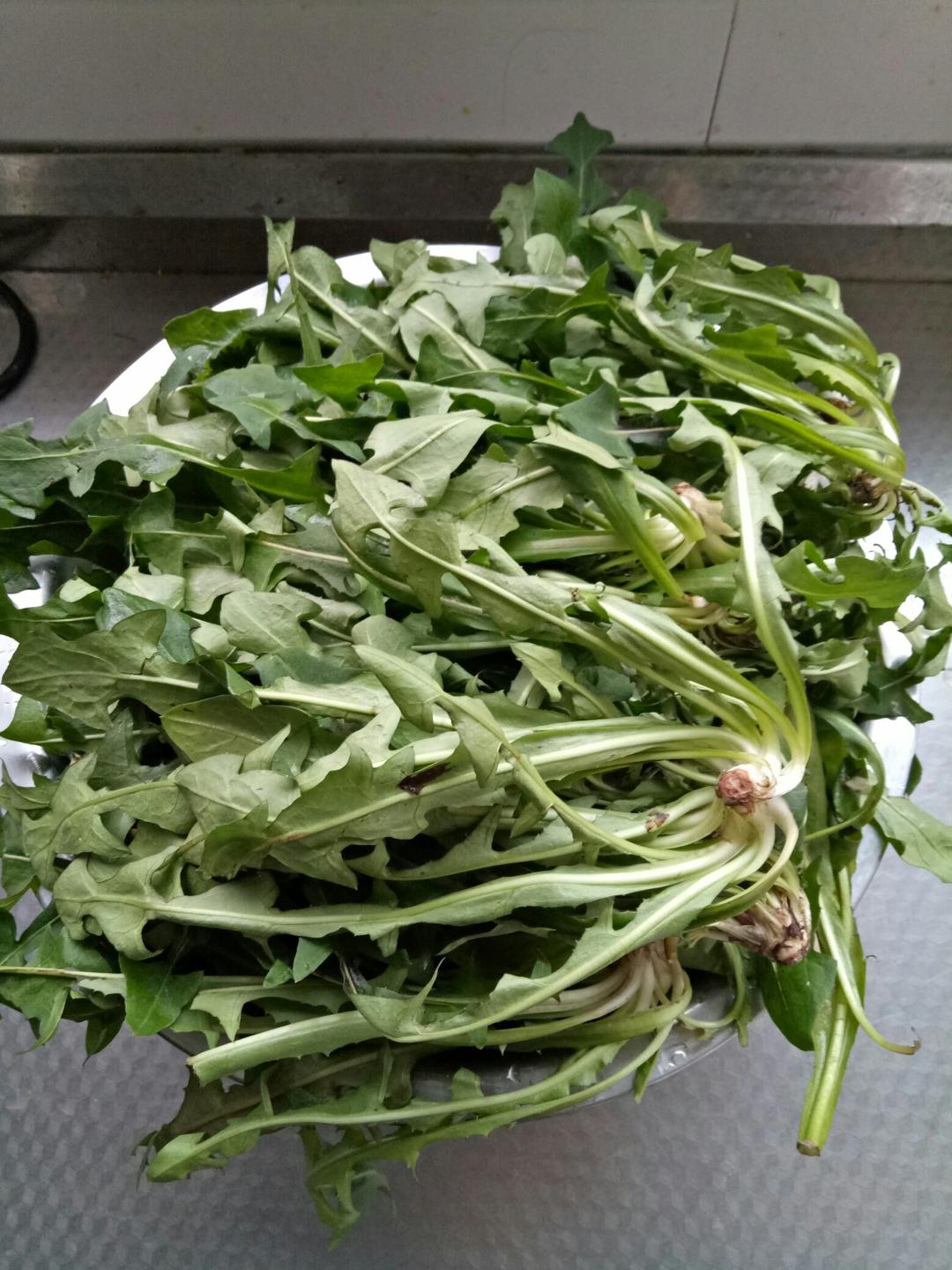 来，尝个鲜儿！ 【蒲公英水饺】
