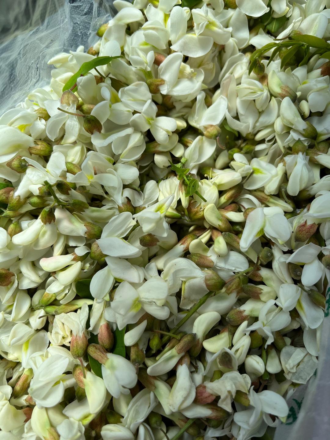 河南家乡菜·蒸菜系列 | 蒸槐花的做法