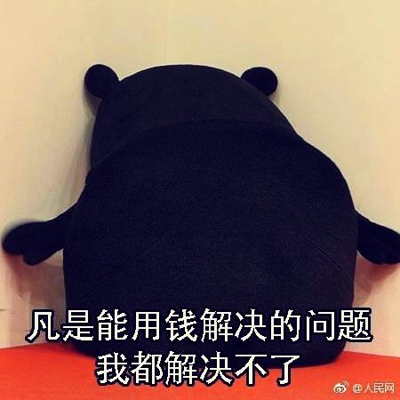 董哈哈n
