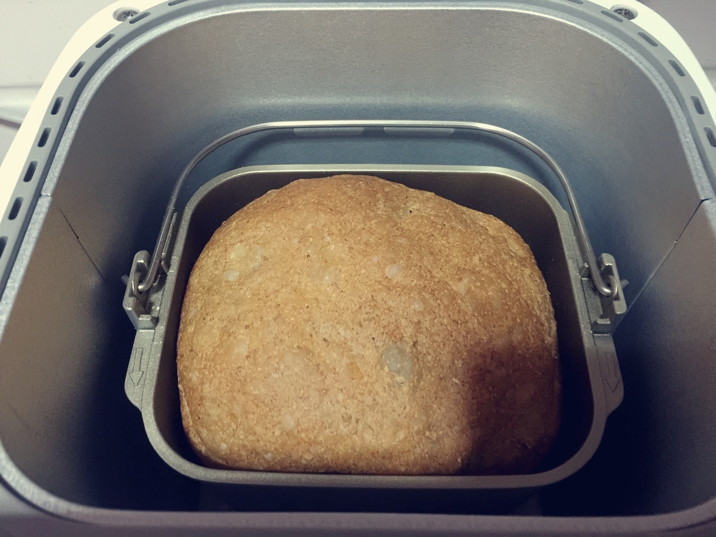 100%全麦无盐面包（松下面包机版）的做法 步骤2