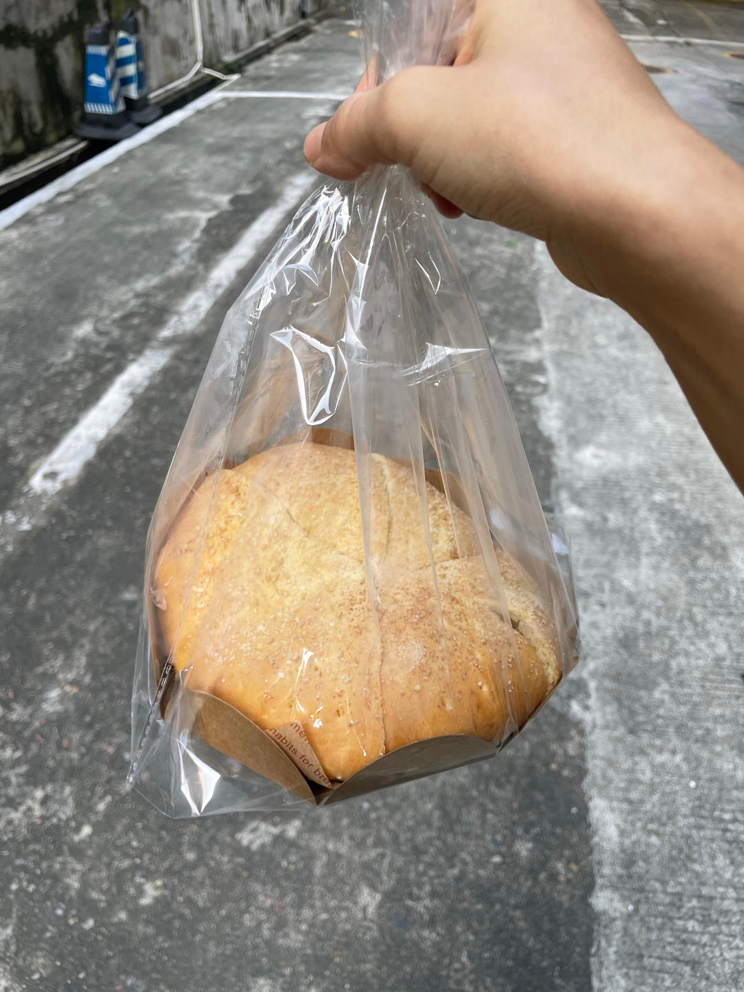 蒙古奶酪包👩‍🍳