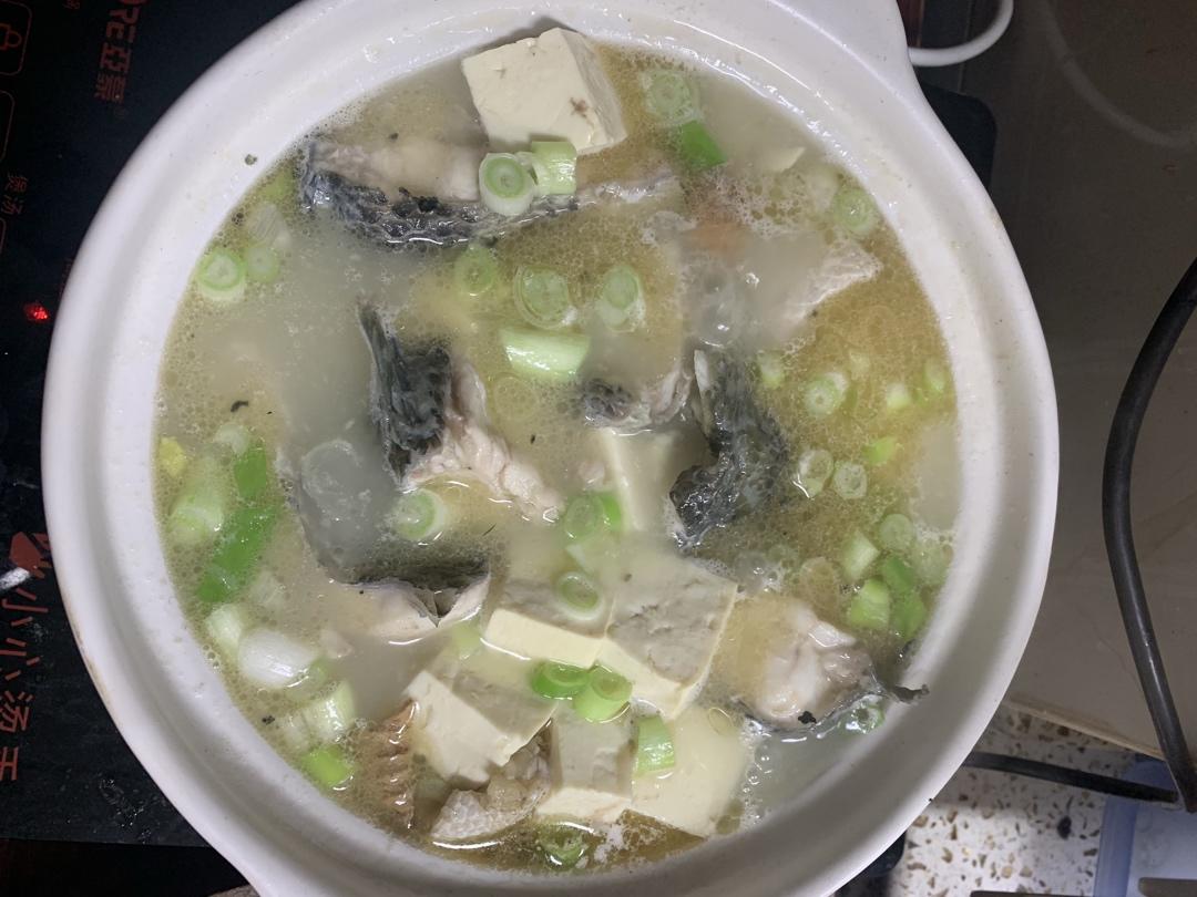 超鲜的奶白黑鱼汤