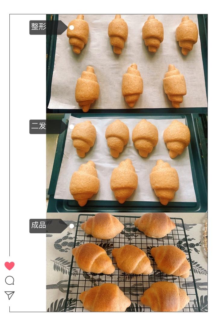 全麦鲜奶卷 100%全麦(含详细水滴型面团塑形法)